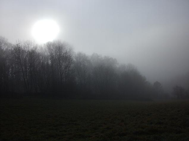 ambiance fantastique du soleil dans le brouillard dans la forêt ardennaise autour de Vrigne-aux-bois