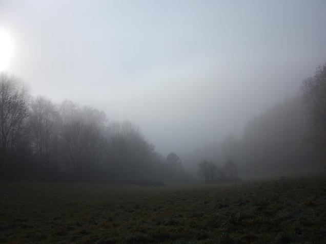 brouillard sur les cultures et les labours d`automne dans les Ardennes