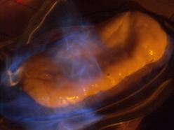 Rollspudding flambé aux pommes 